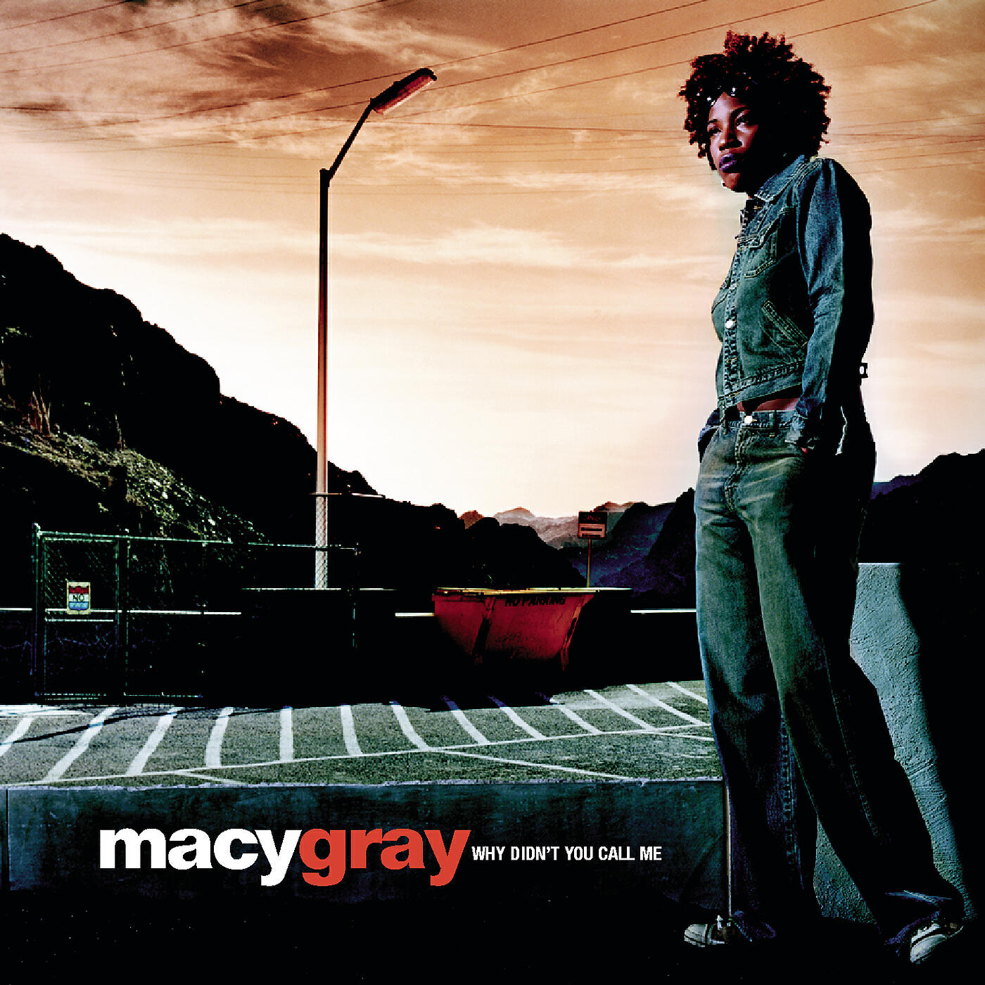 Macy Gray - Why Didn't You Call Me