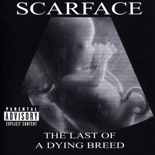 Scarface - In And Out