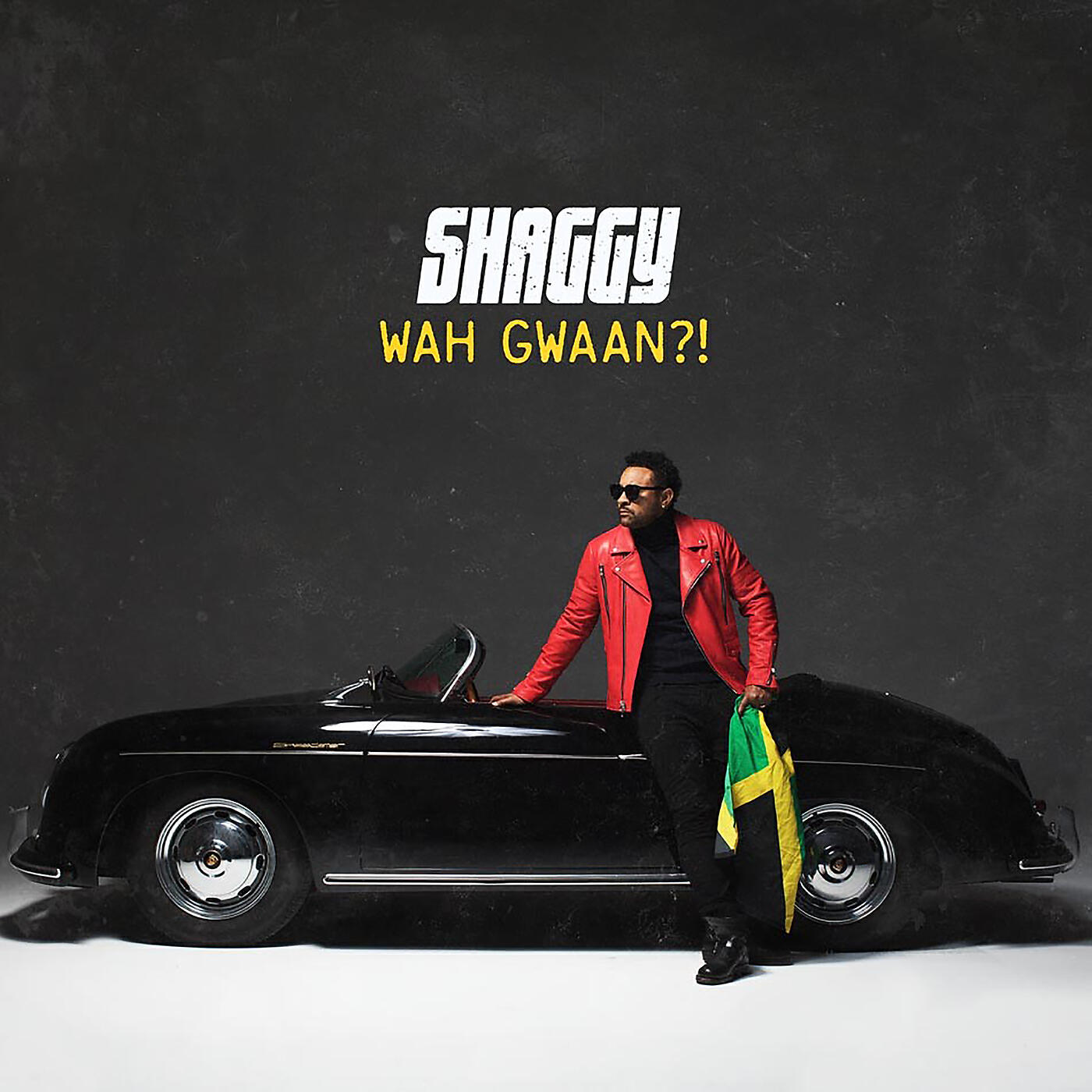 Shaggy - Body Good