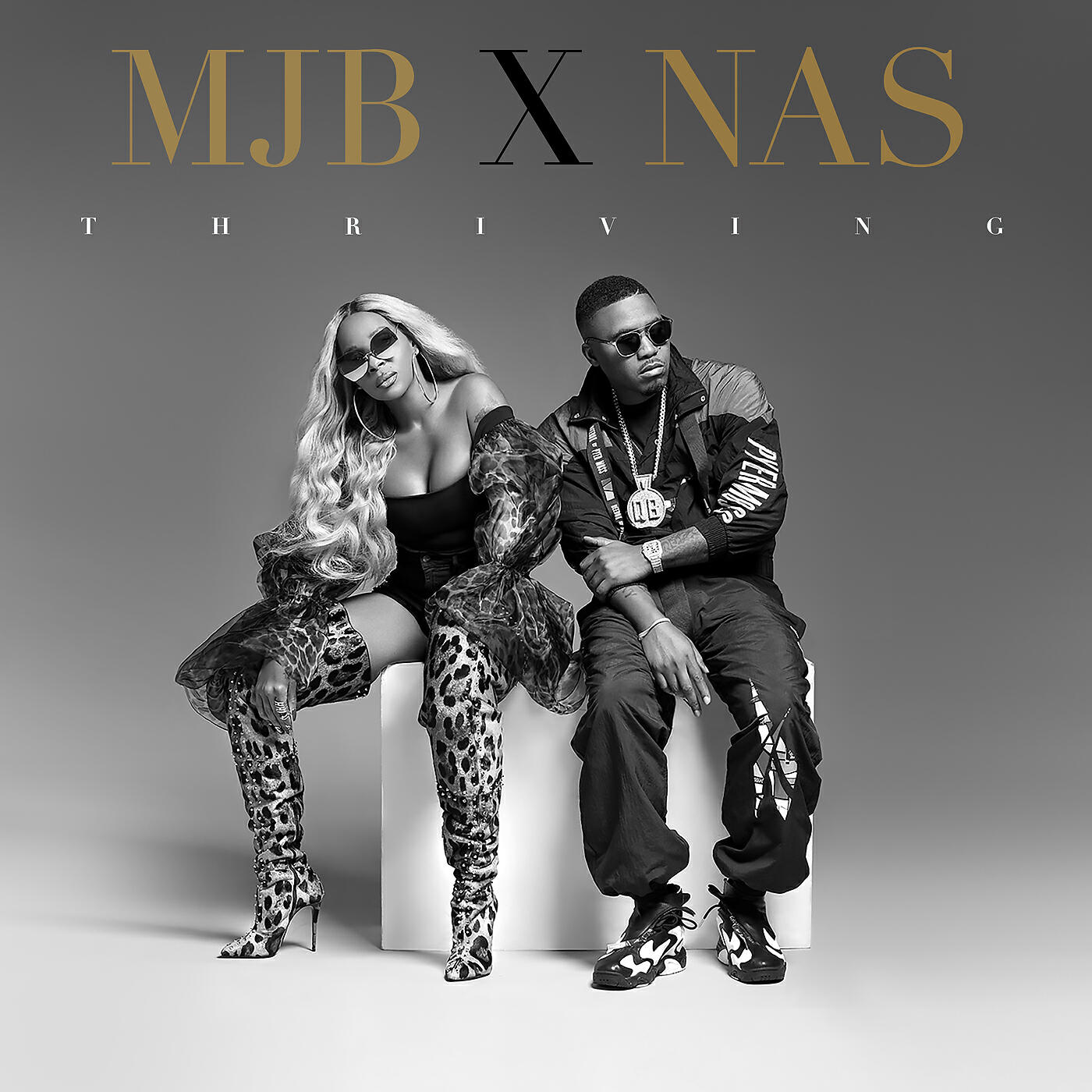 Mary J. Blige - Thriving