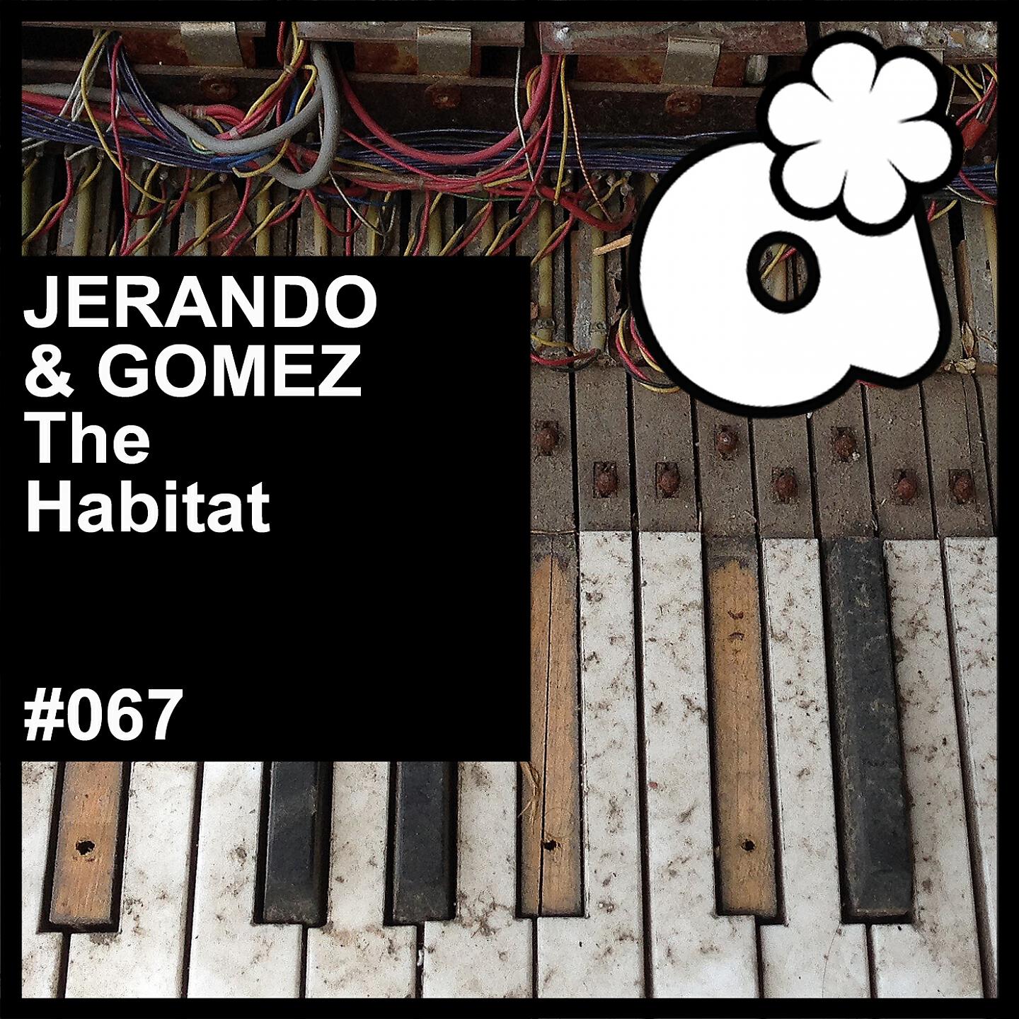 Jerando - Kish