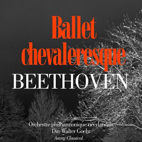 Orchestre philharmonique néerlandais - Ballet chevaleresque : VI.Trinklied