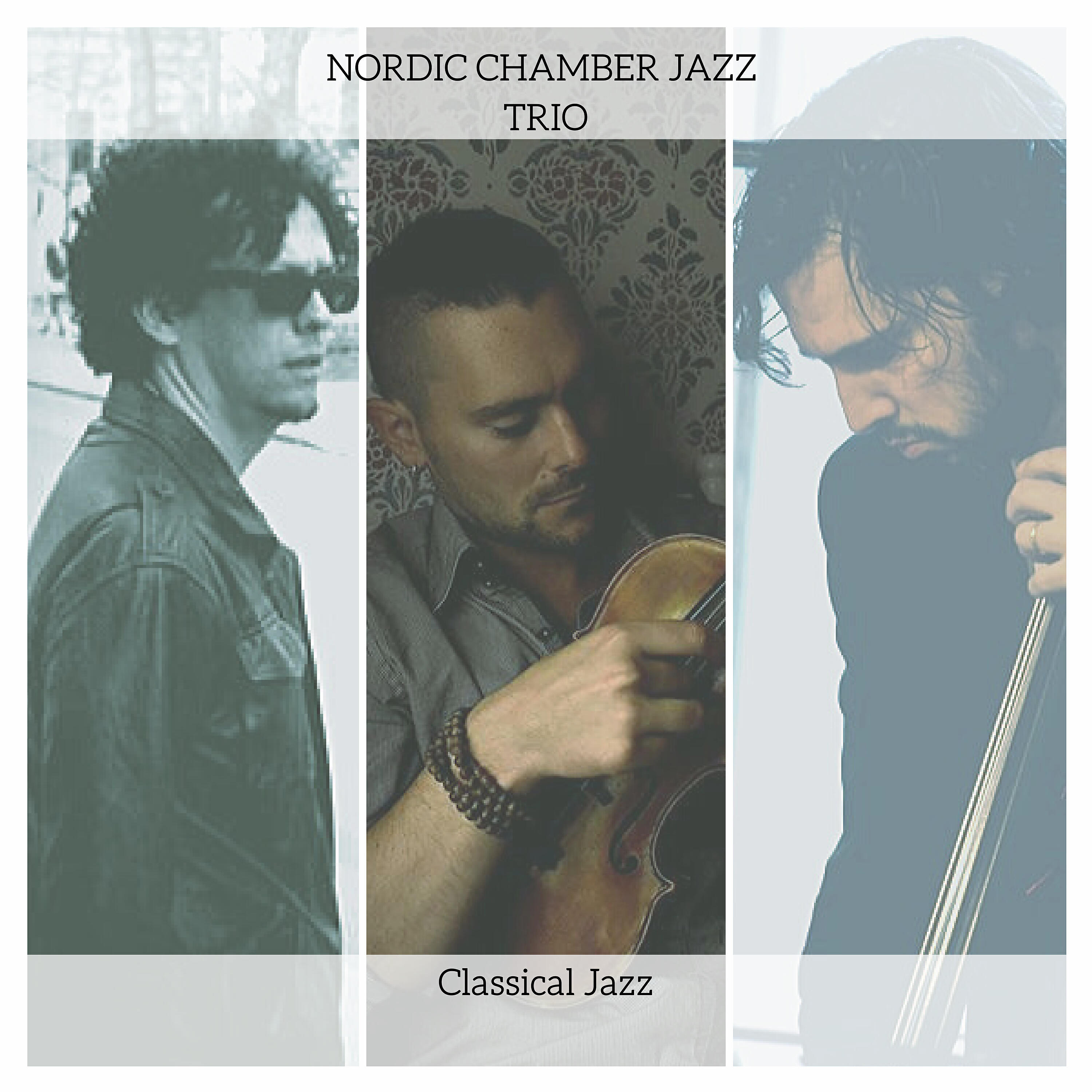 Nordic Chamber Jazz Trio - Symphony No. 7 in A Major, Op. 92 Allegretto