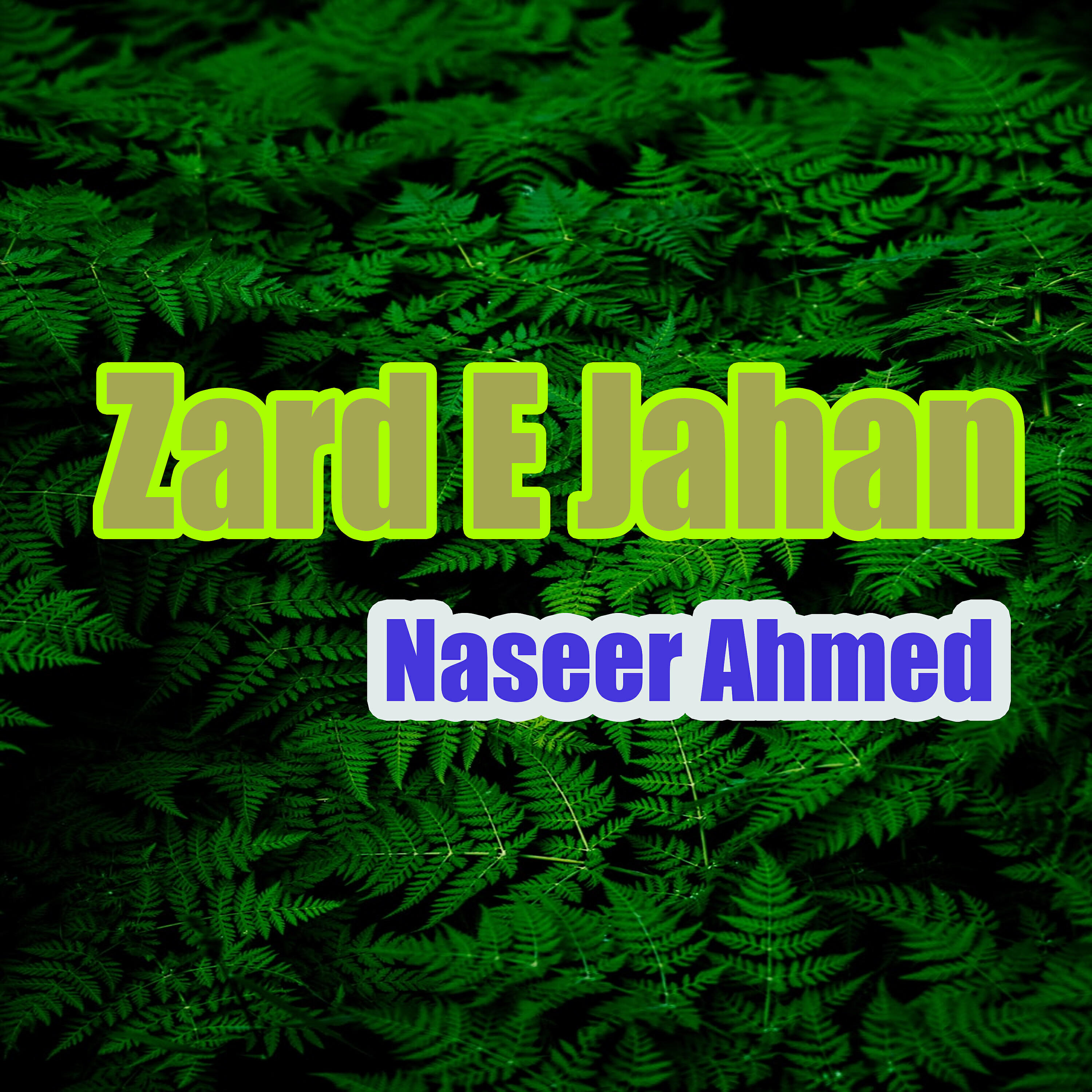 Naseer Ahmed - Khuchagan Gon Dile Darde