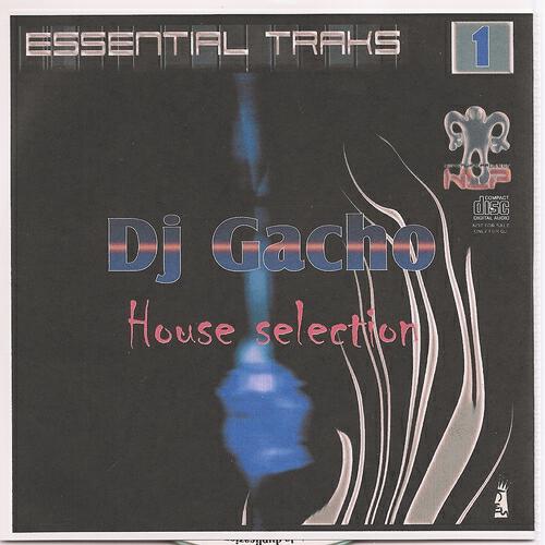 Dj Gacho - River Dog