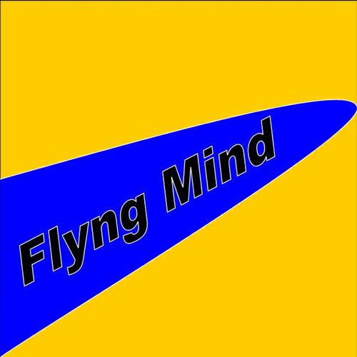 Guglielmo Brunelli - Airplane