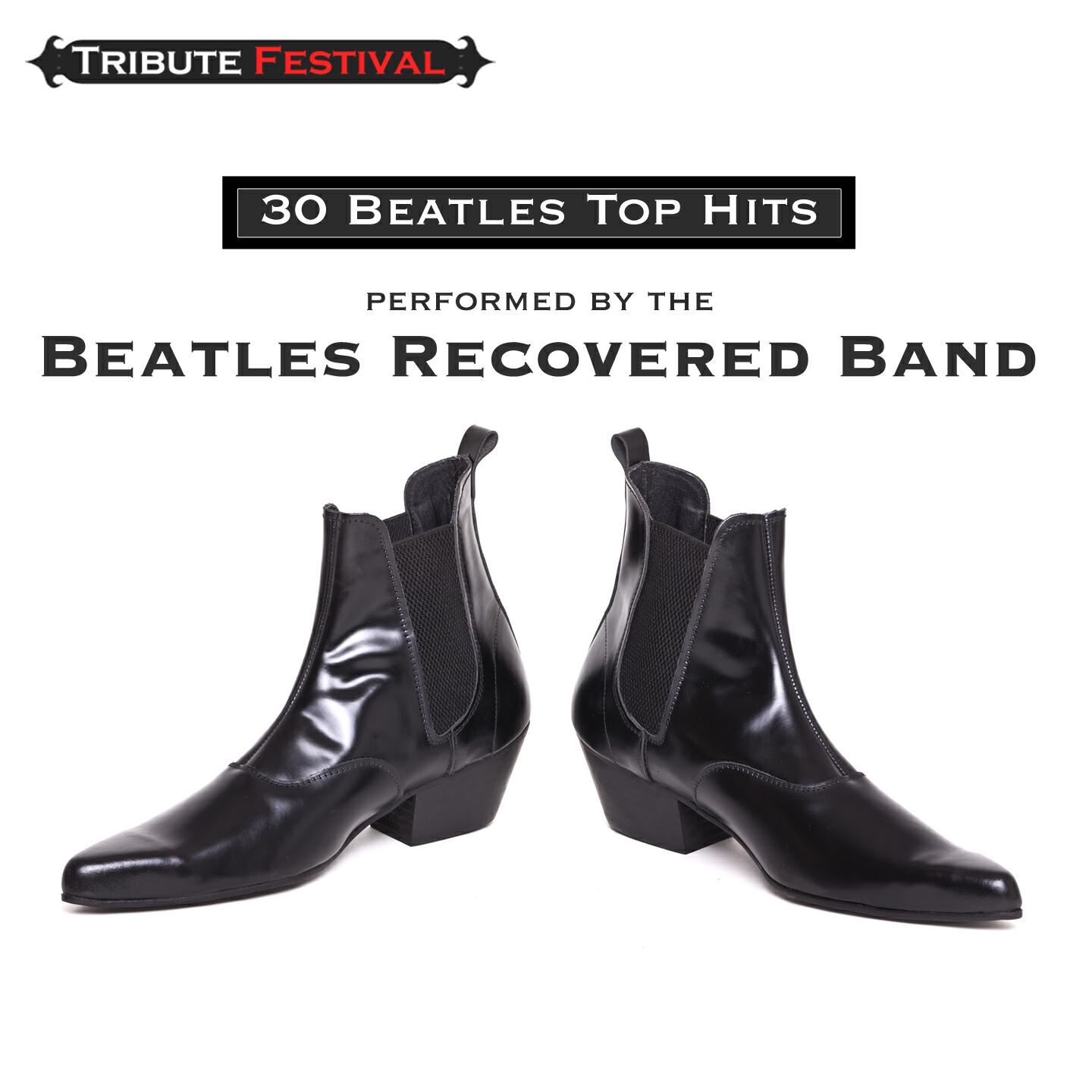 The Beatles Recovered Band - Eleanor Rigby