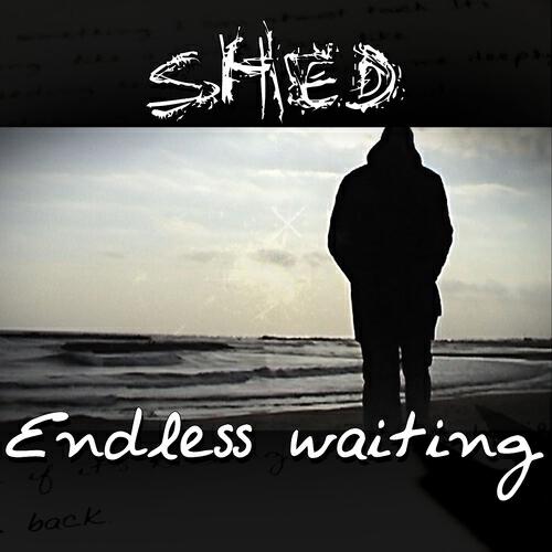 Shed - Ordinary Binary Man (Instinxx Mix)