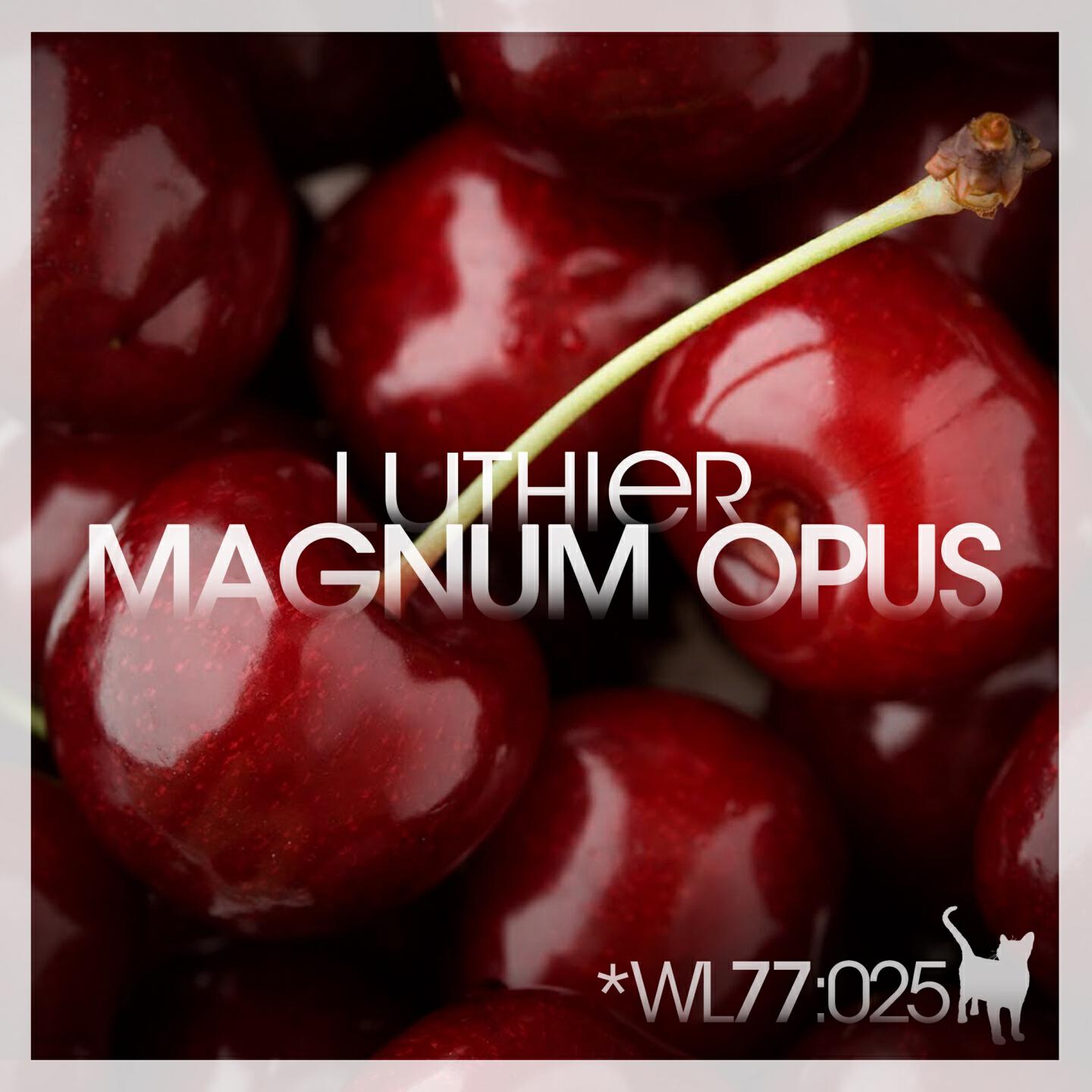 Luthier - Magnum Opus (Original Mix)