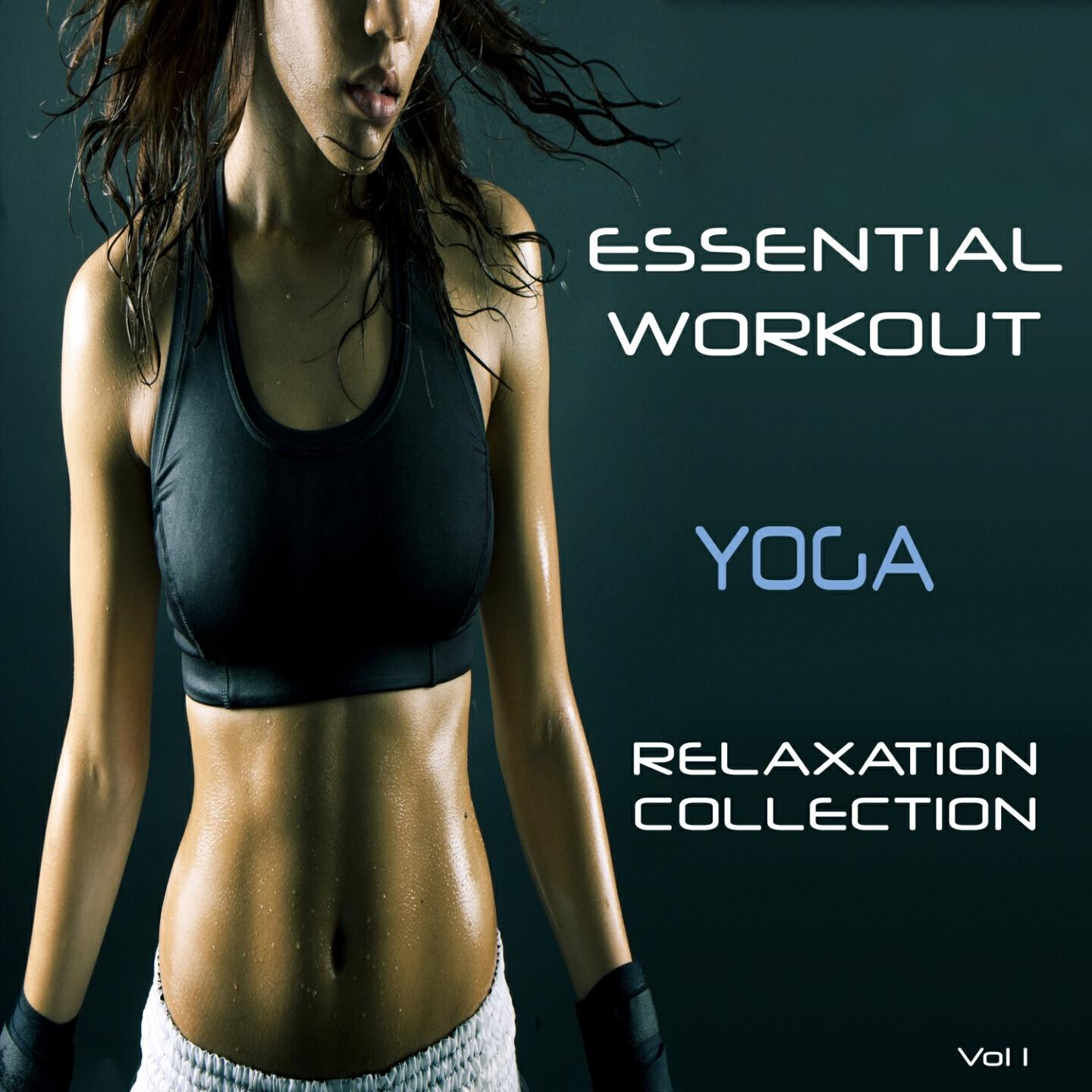 Hi NRG Fitness - Indian Summer
