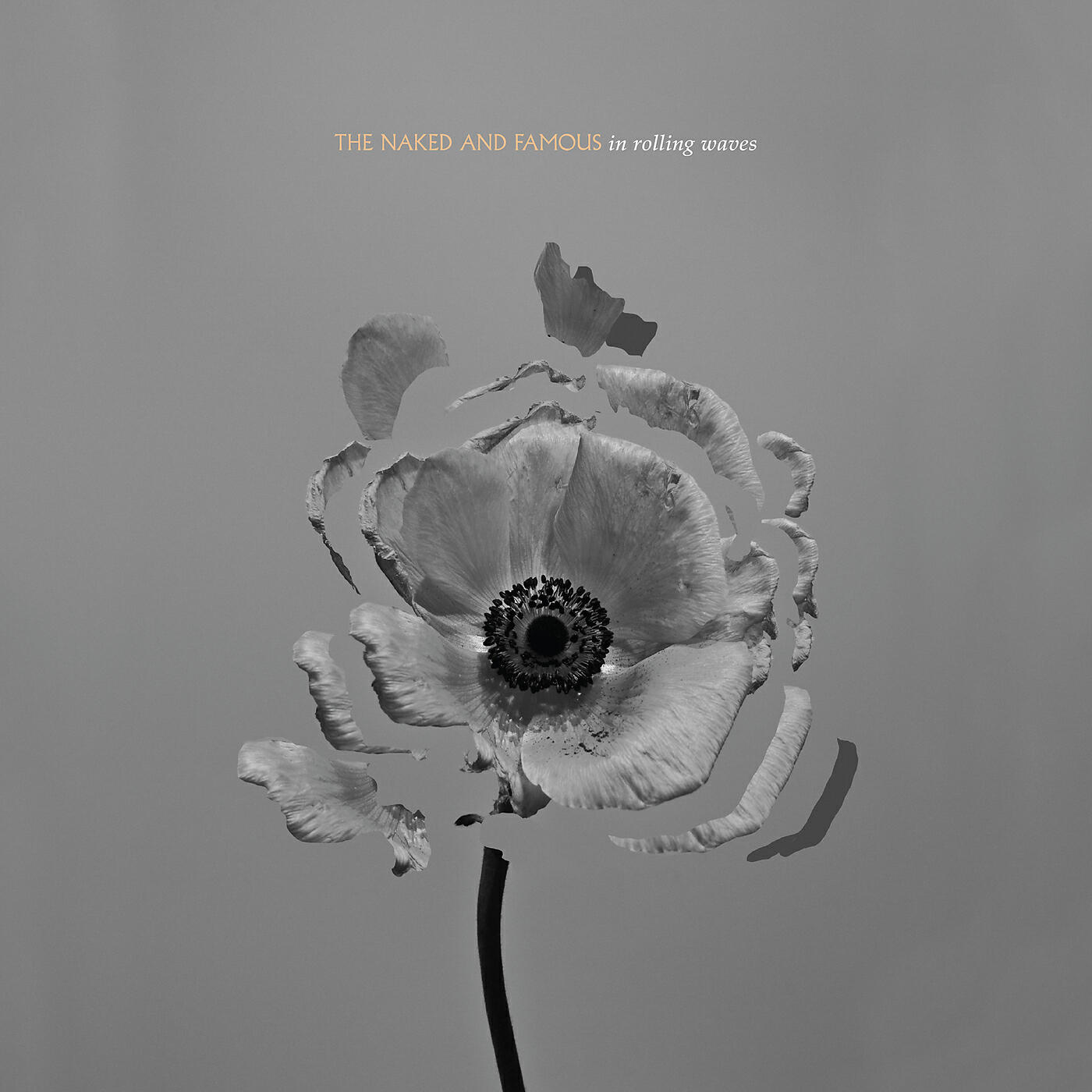 The Naked And Famous - Hearts Like Ours