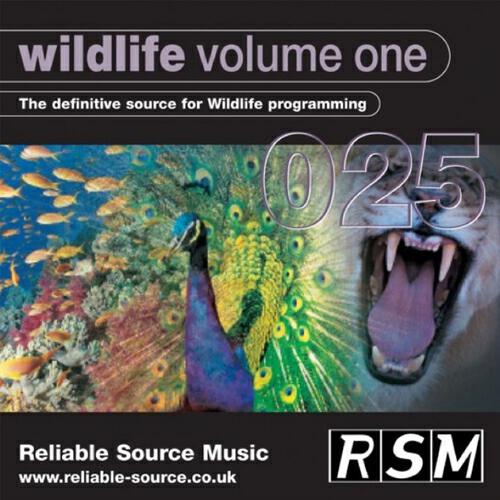 Reliable Source Music - Big Cat Hunt