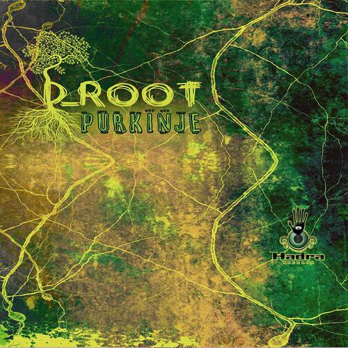 D_Root - Elektronik