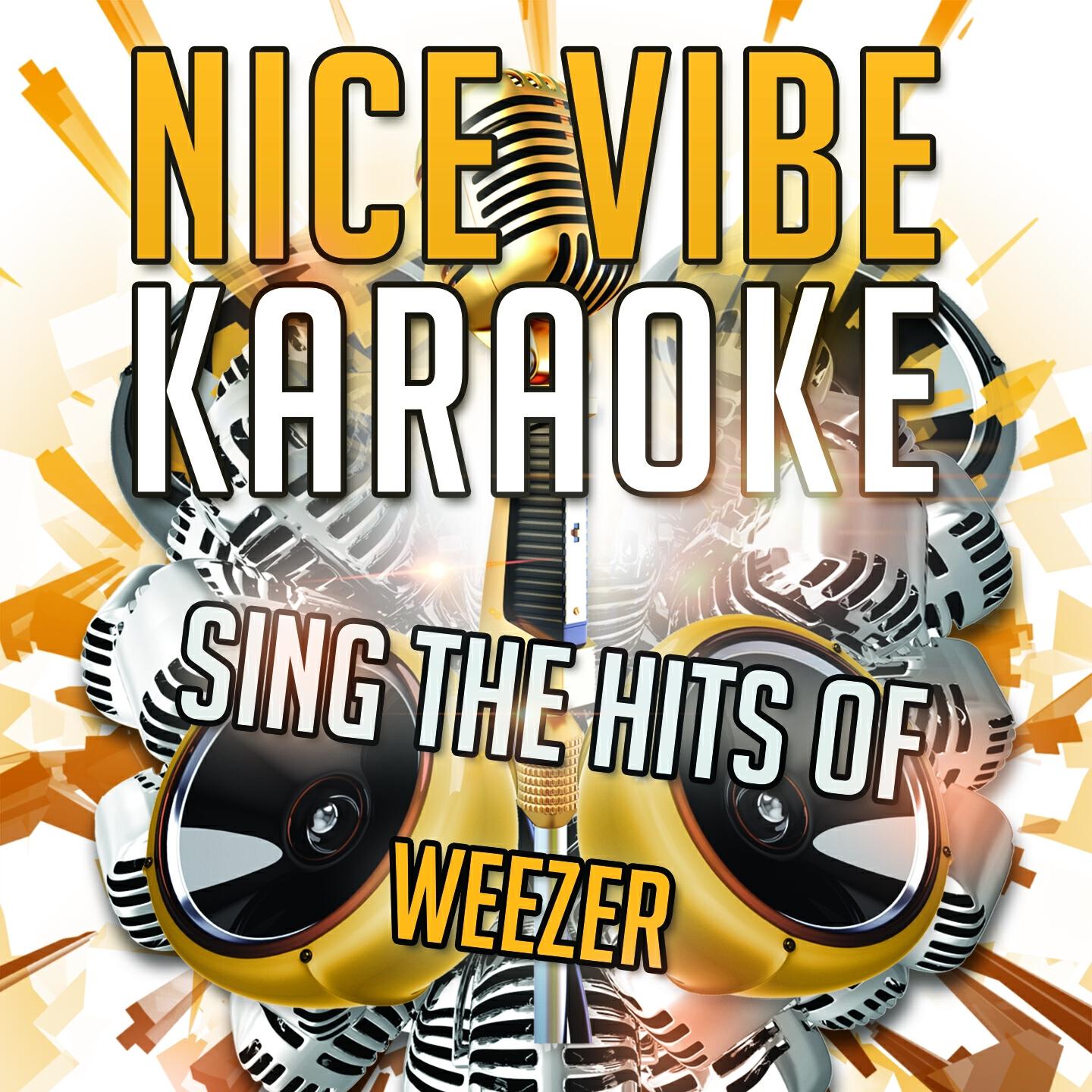 Nice Vibe - Photograph (Karaoke Version) (Originally Performed By Weezer)