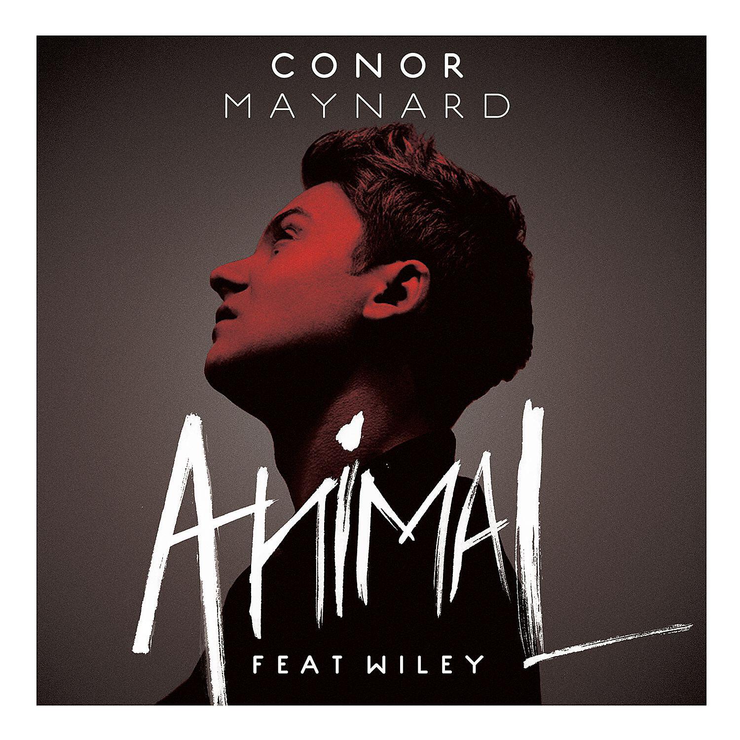 Conor Maynard - Don't You Worry Child (Acoustic)