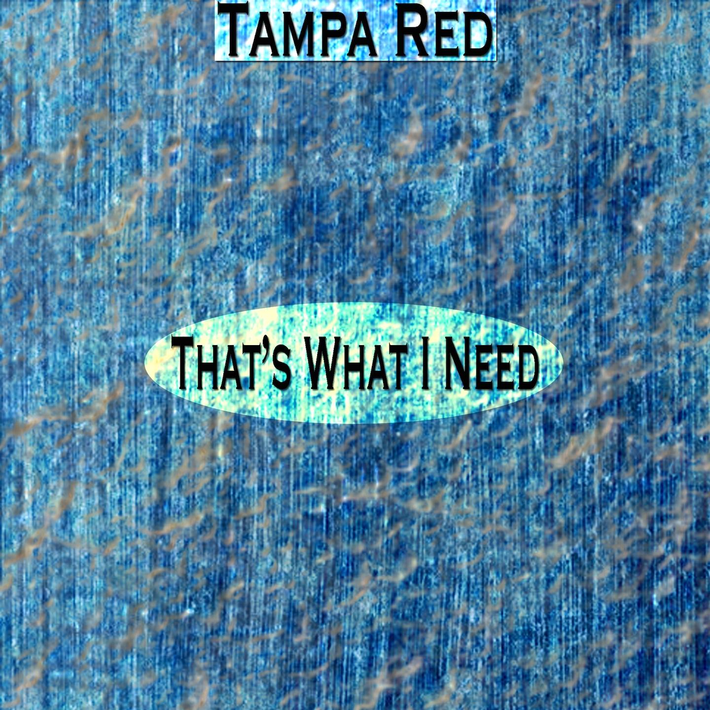Tampa Red - I'll Get a Break Someday (Remastered)