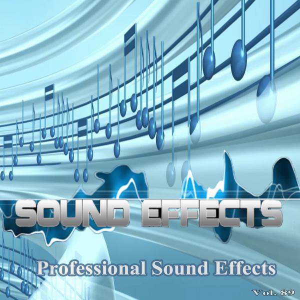 Professional Sound Effects Group - Door 2