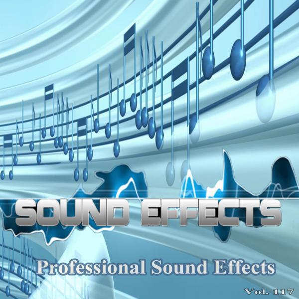 Professional Sound Effects Group - Donkey 2