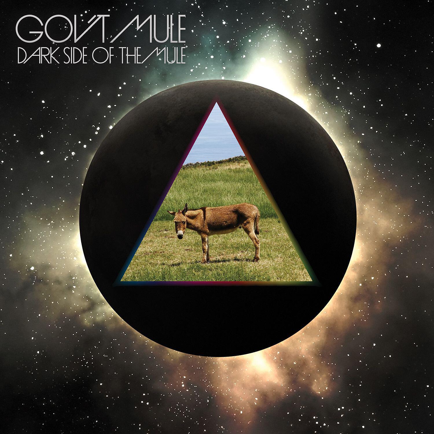 Gov't Mule - Brighter Days