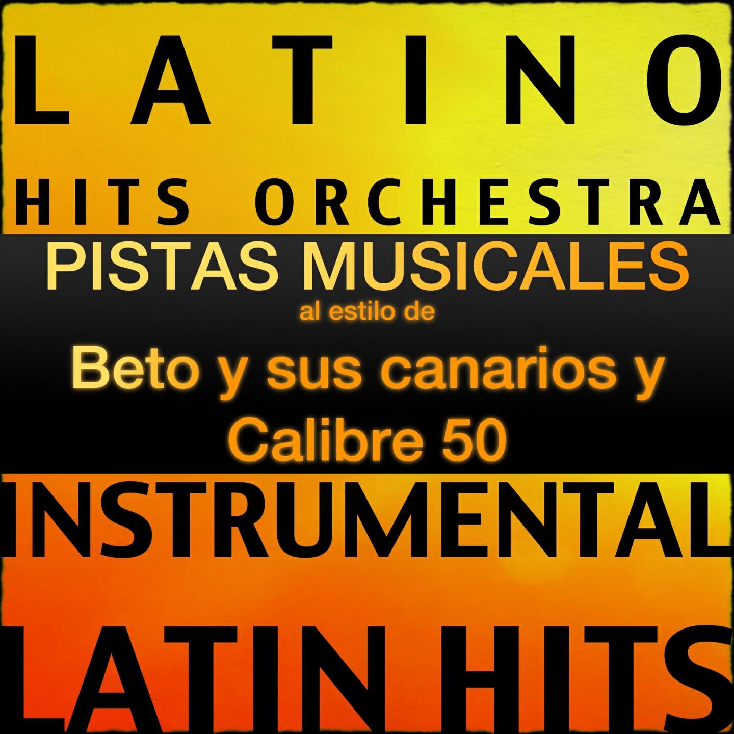 Grupo LatinHits - Empresas Mz (Karaoke Version) [Originally Performed By Calibre 50]