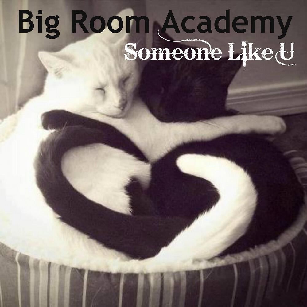 Big Room Academy - Rush the Sound (Original Mix)