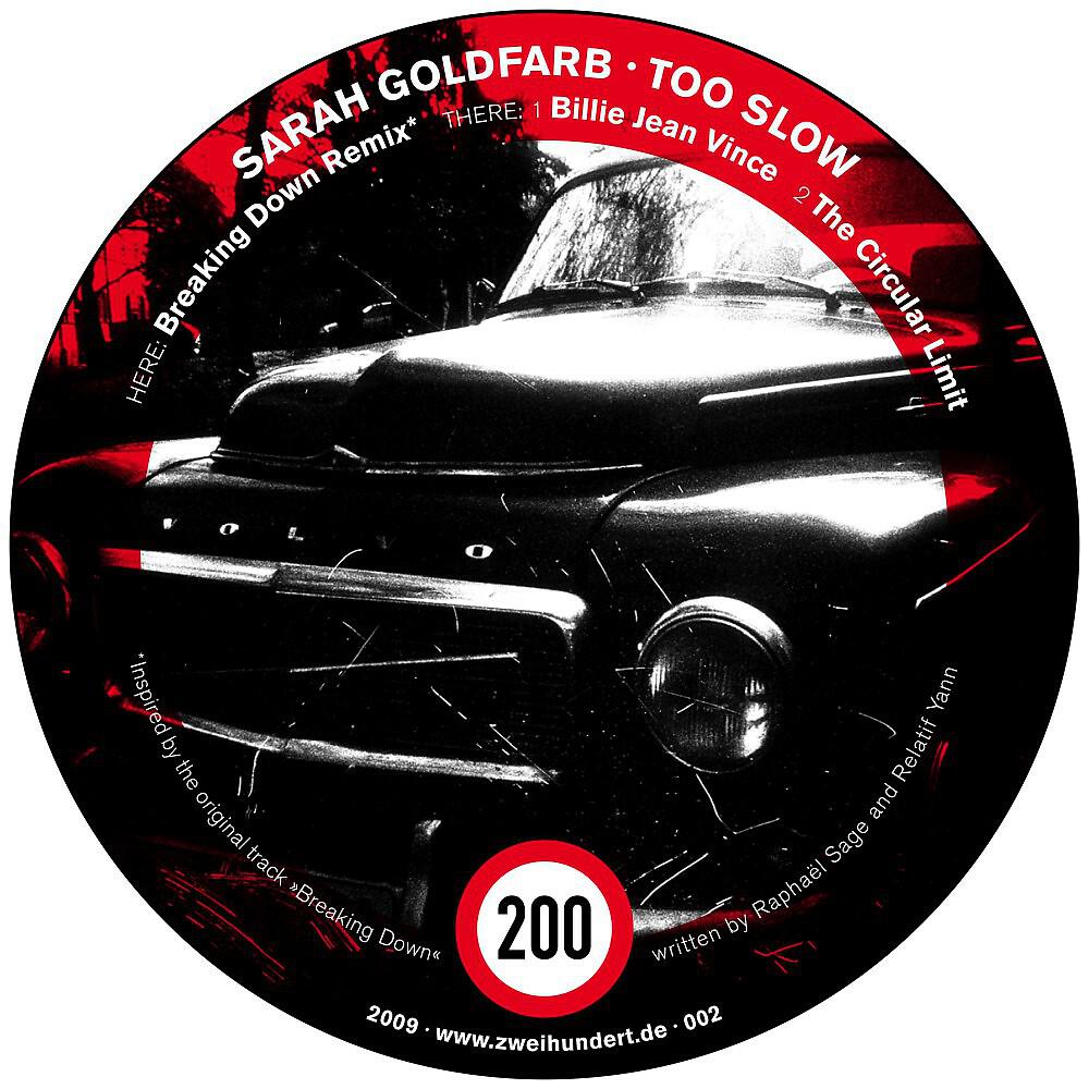 Sarah Goldfarb - The Circular Limit