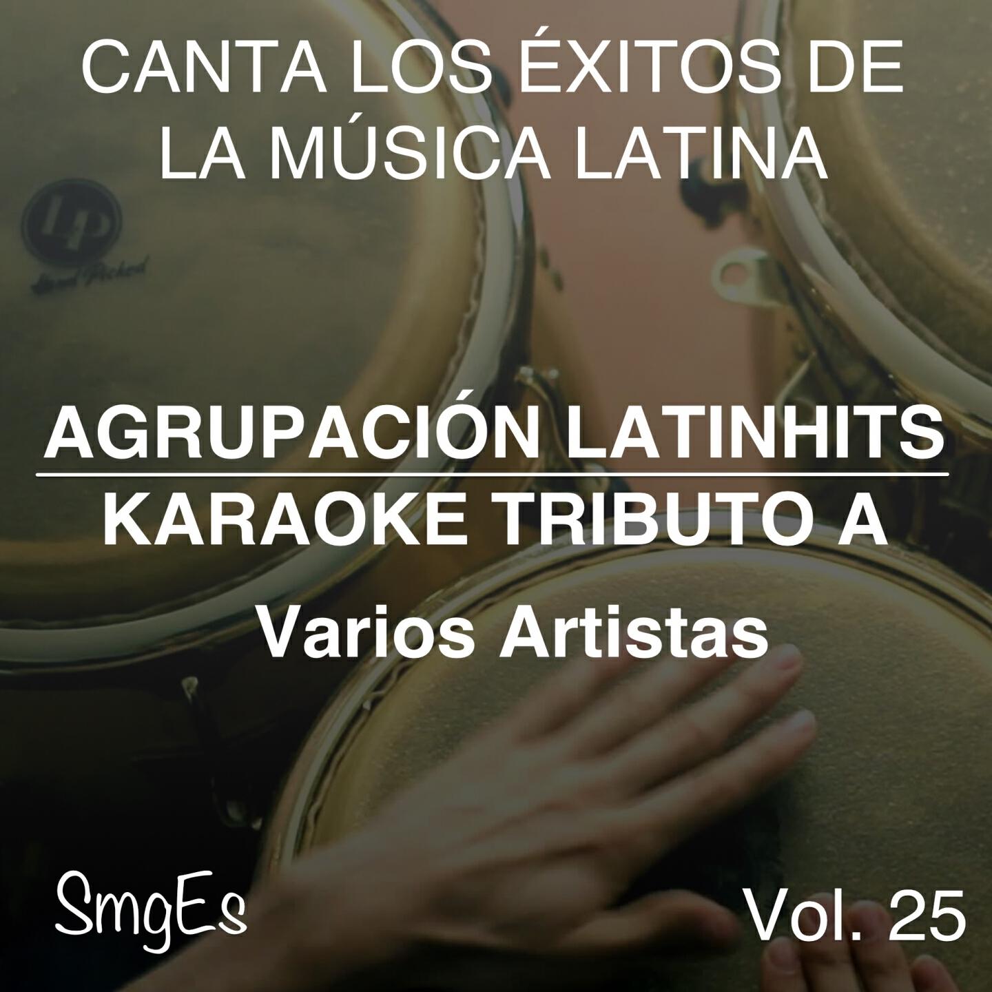 Agrupacion LatinHits - The Monster (In the Style of Eminen & Rihanna)