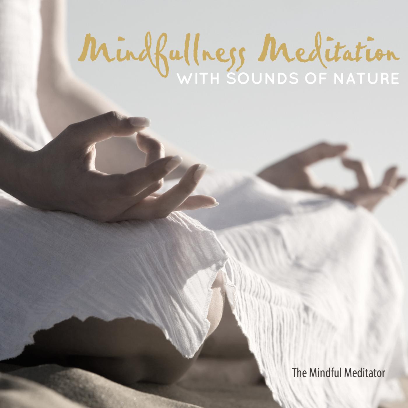 The Mindful Meditator - Nature's Mindfulness (Nature Sounds for Sleep, Tinnitus, Stress & Anxiety)