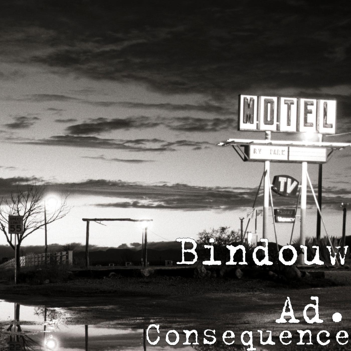 Bindouw Ad. - Consequence