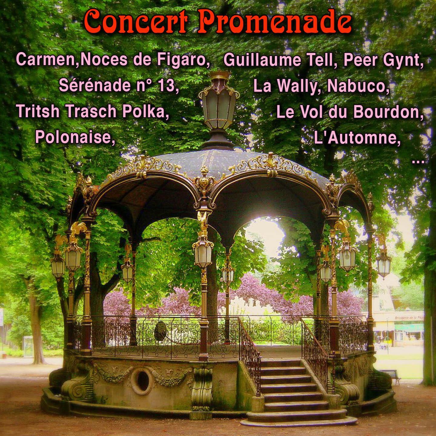 Arthur Rubinstein - Polonaise in A-Flat Major, Op. 53 