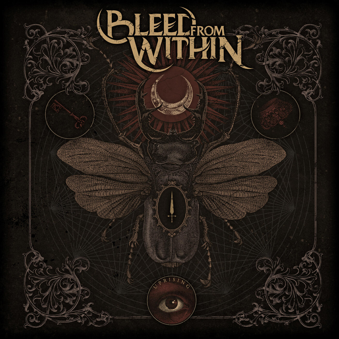Bleed From Within - Our Divide