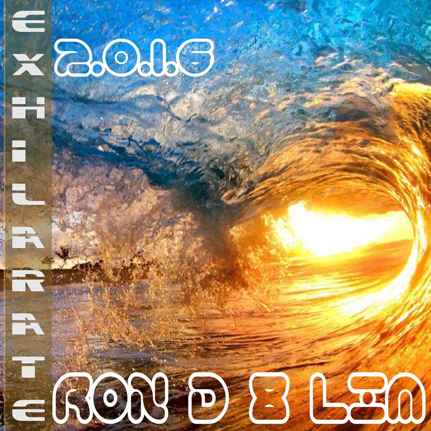 Ron D 8 Lim - Conscious Gruv (D1B)