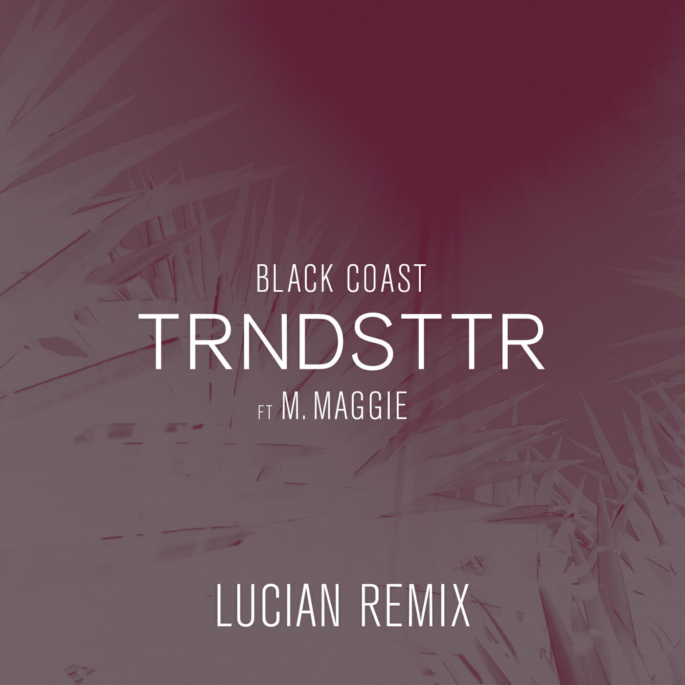 Black Coast - Trndsttr (feat. M. Maggie) (Lucian Remix)