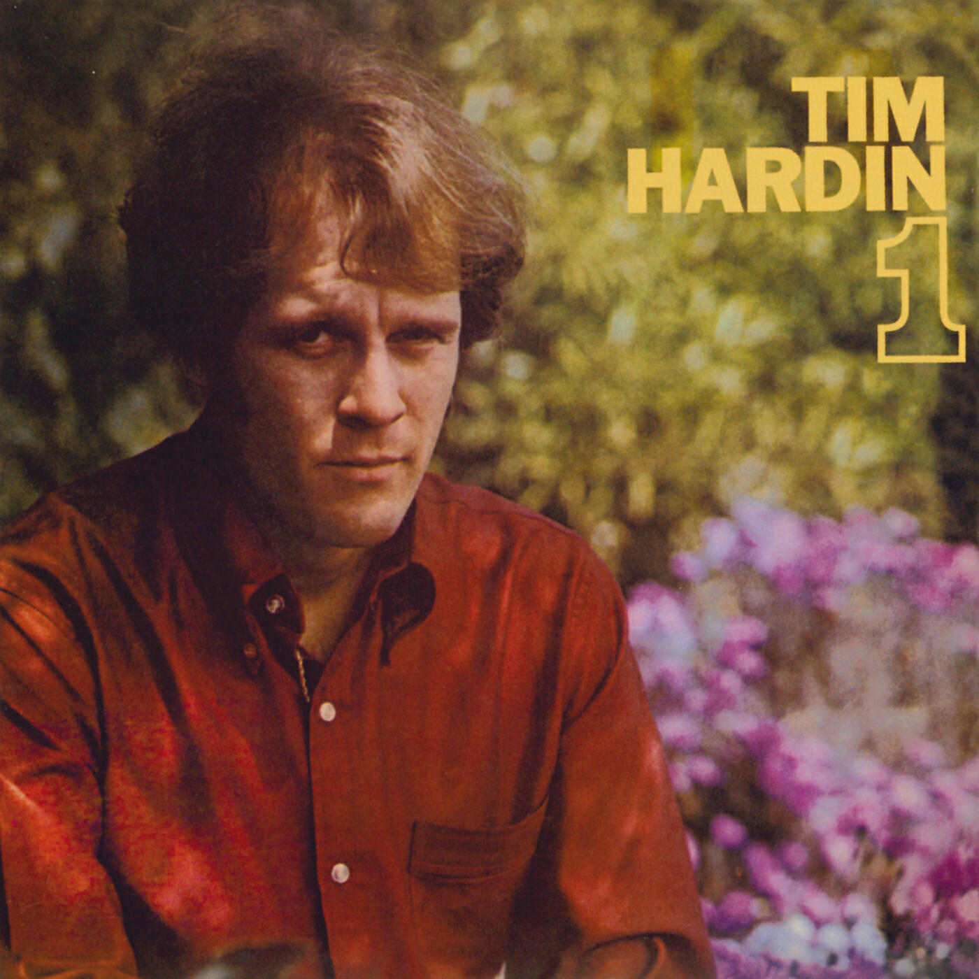 Tim Hardin - Green Rocky Road