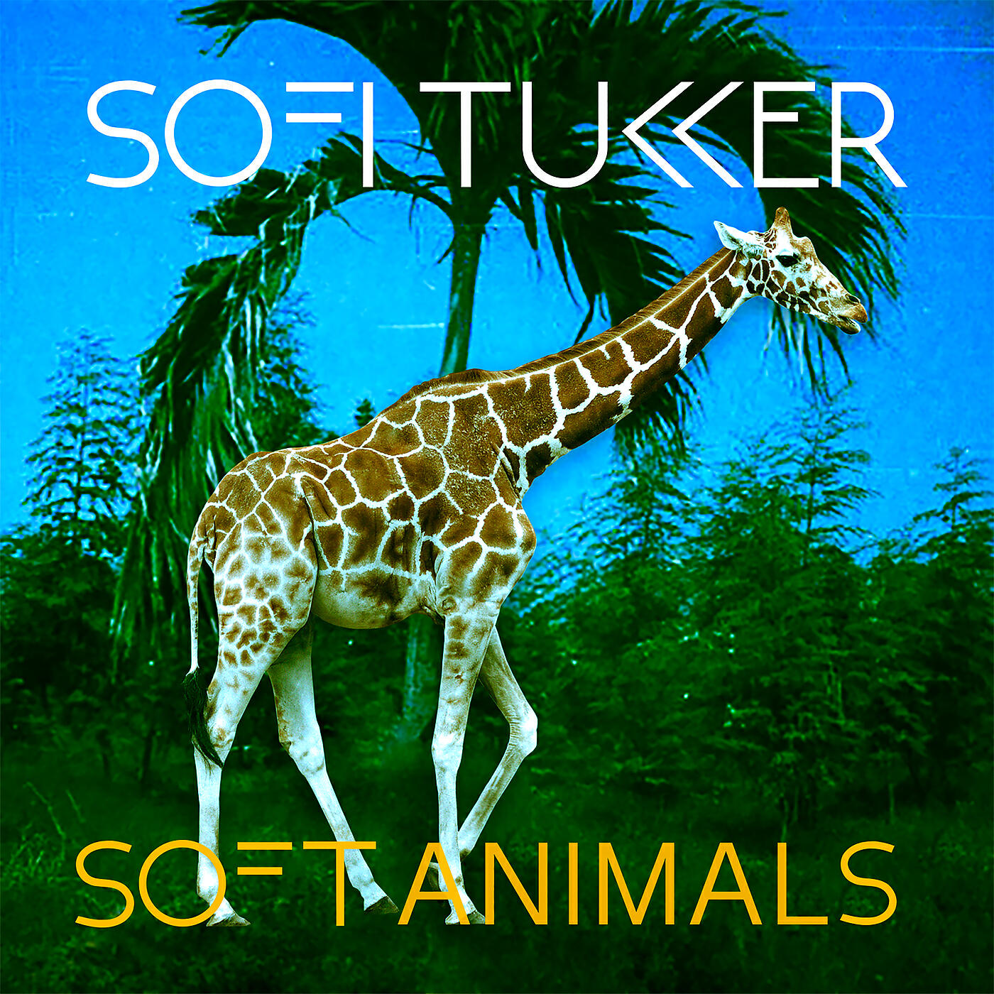 SOFI TUKKER - Drinkee