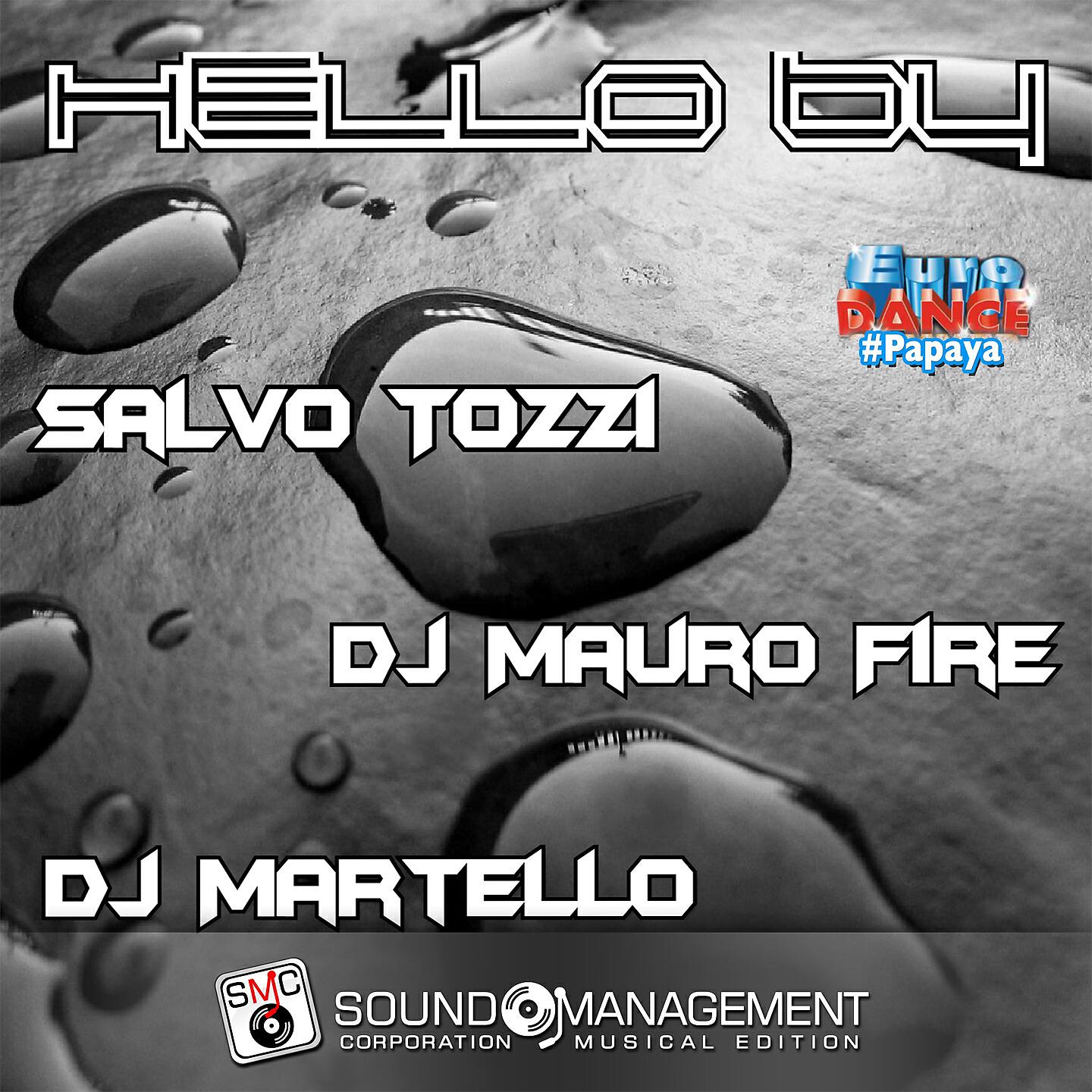 DJ Martello - Hello By (Acappella Version)