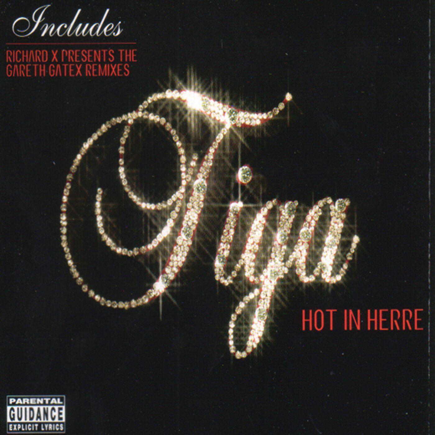 Tiga - Hot in Herre (Extended Version)