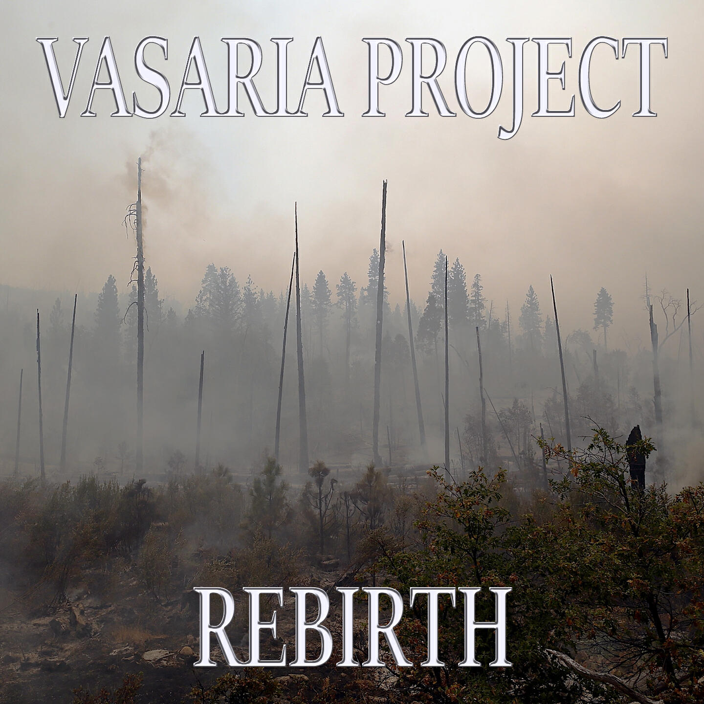 Vasaria Project - Smile