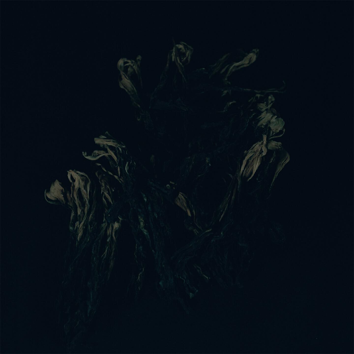 August Rosenbaum - Celeste
