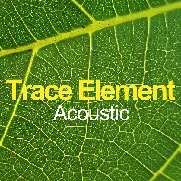 Trace Element - The Gaurdian