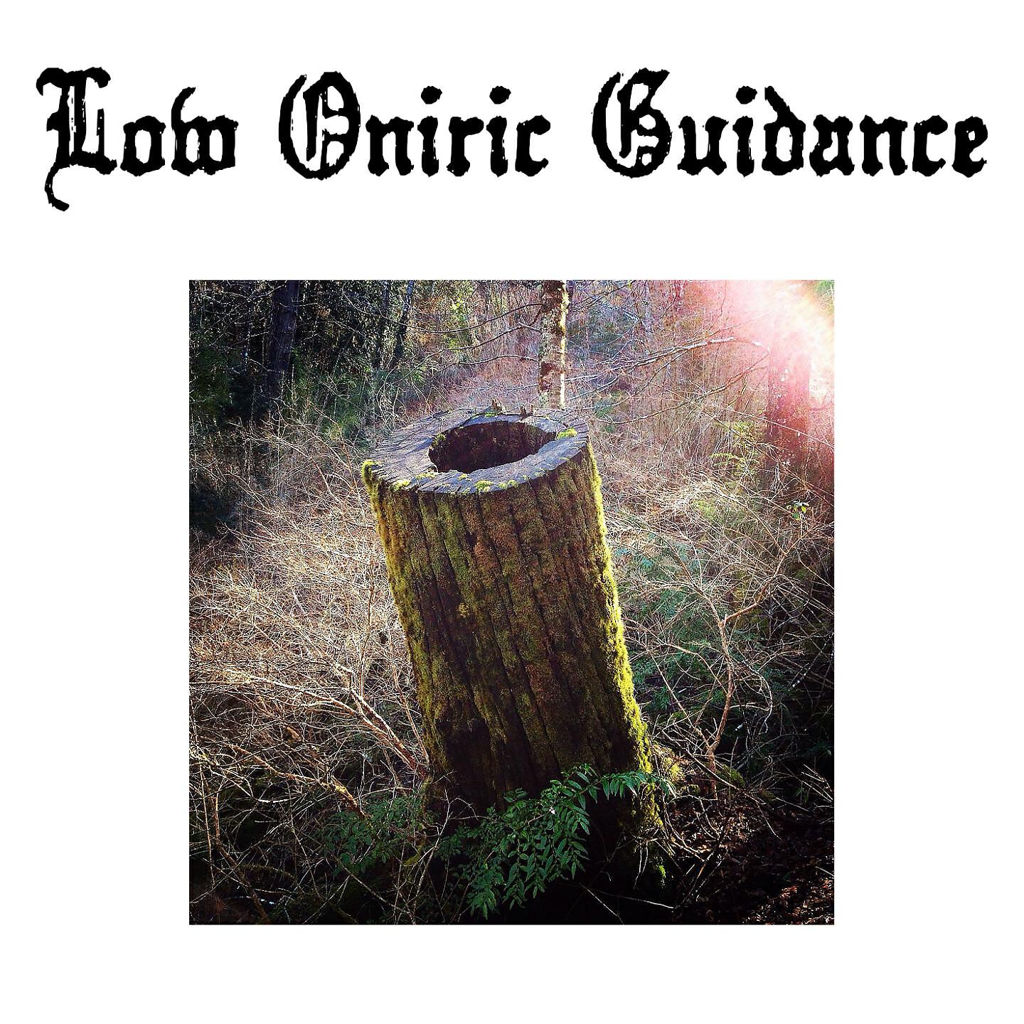 Low Oniric Guidance - Burning Through
