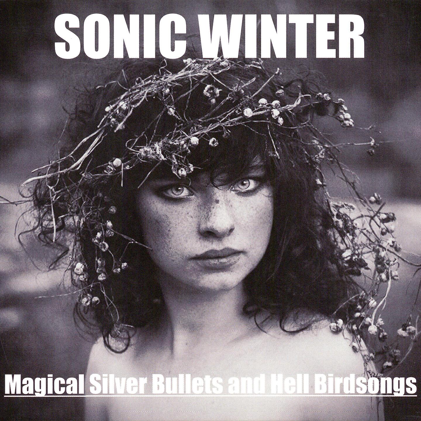 Sonic Winter - No Guts No Glory