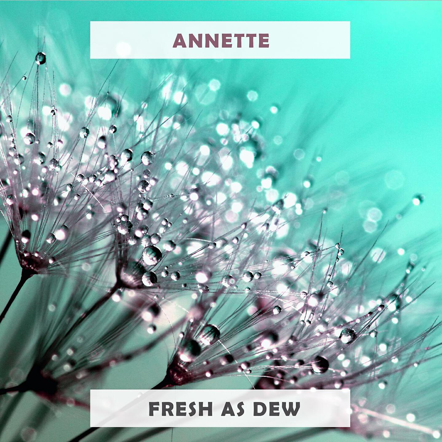 Annette - Draggin' U.S.A.