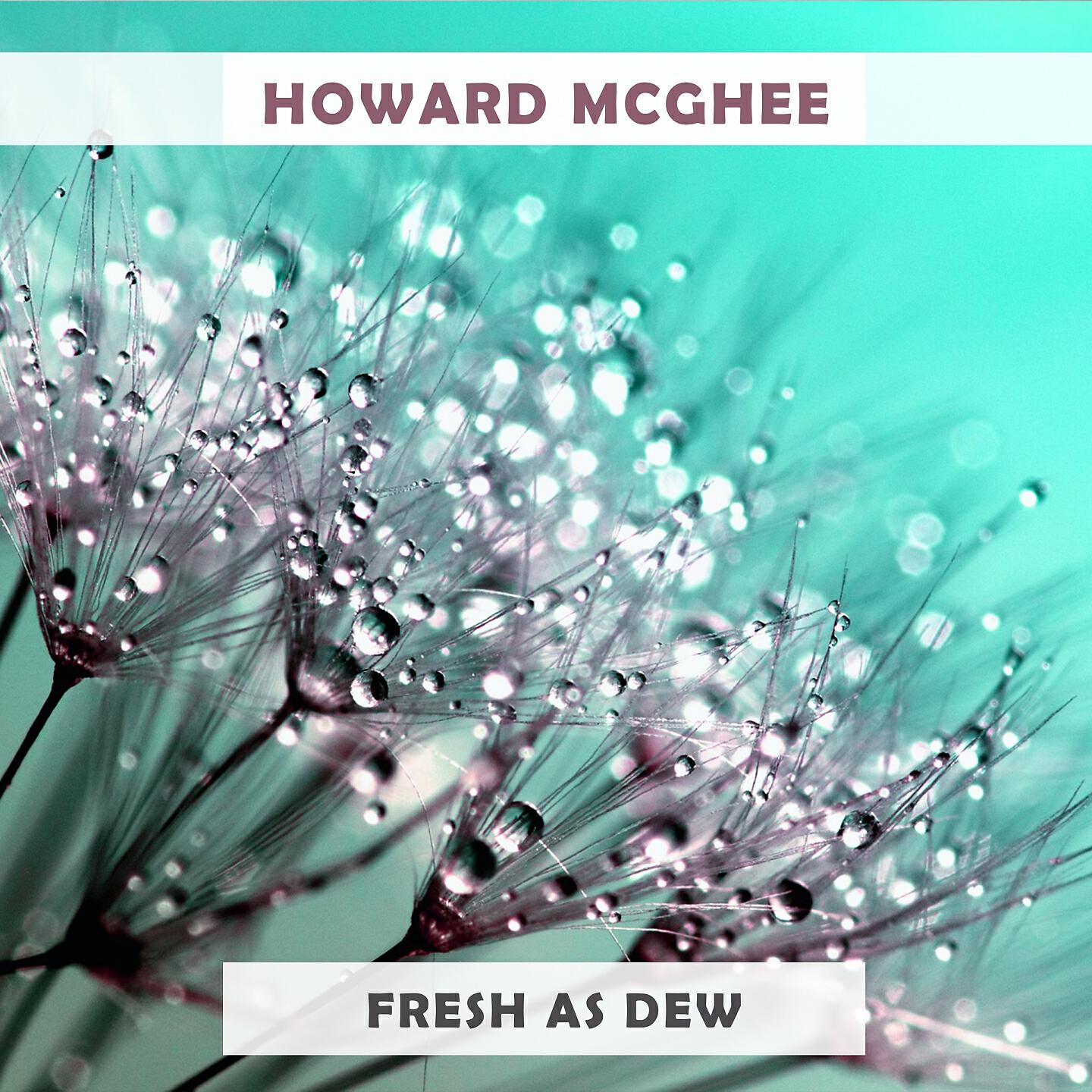 Howard McGhee - Park Avenue Petite