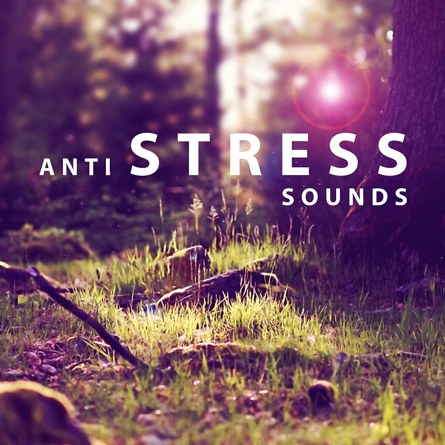 Nature Sounds Relaxation: Music for Sleep - Soft Music