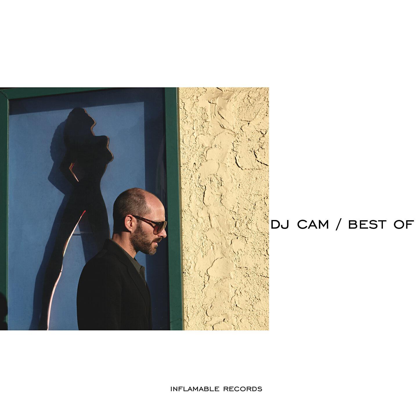 DJ Cam - Swim