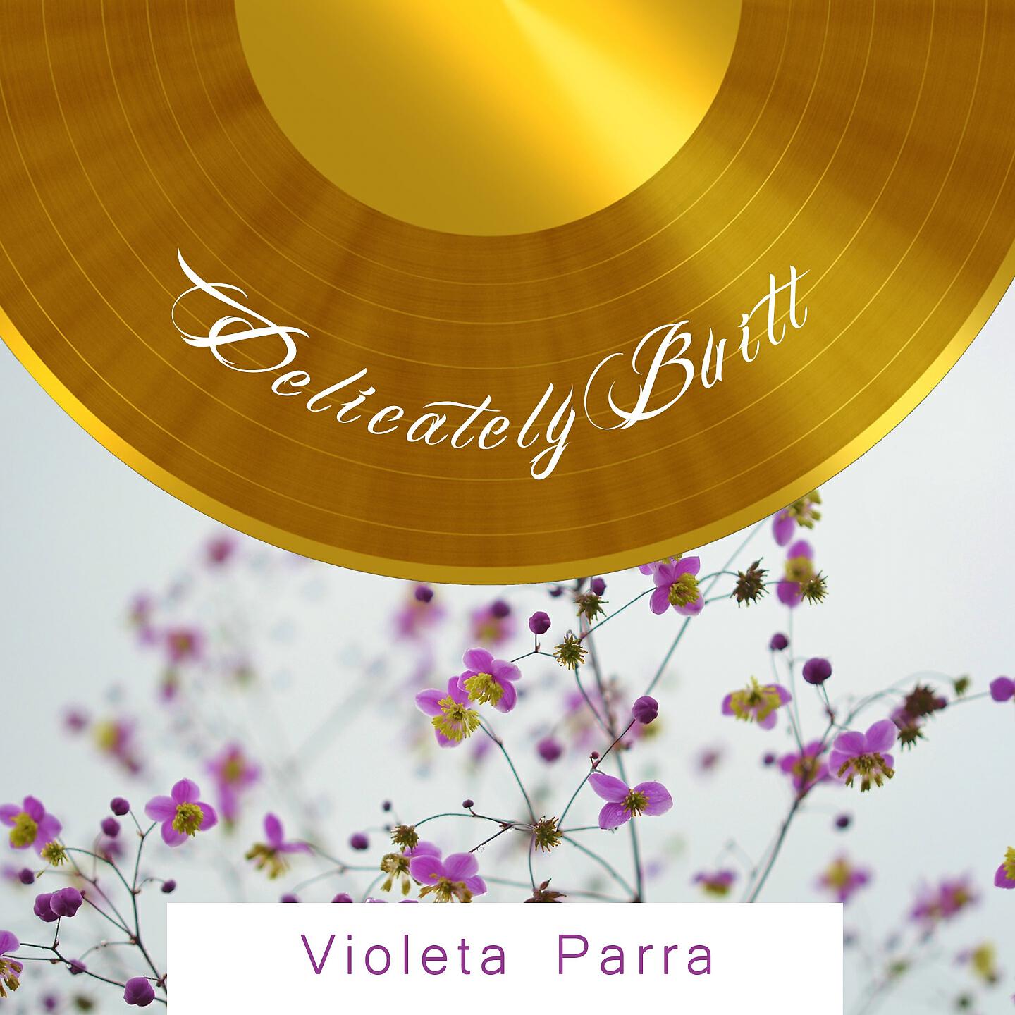 Violeta Parra - En La Cumbre De Los Andes