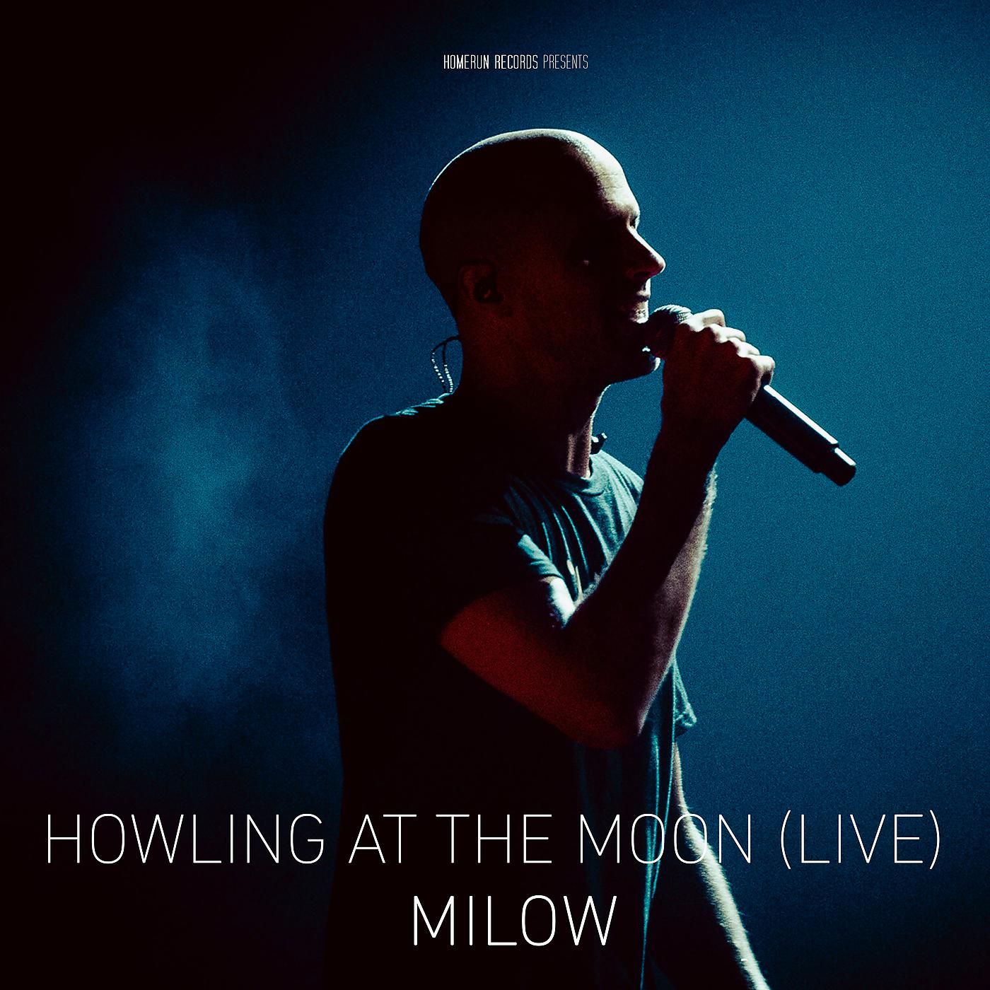 Milow - Howling At The Moon (Live In Vienna)