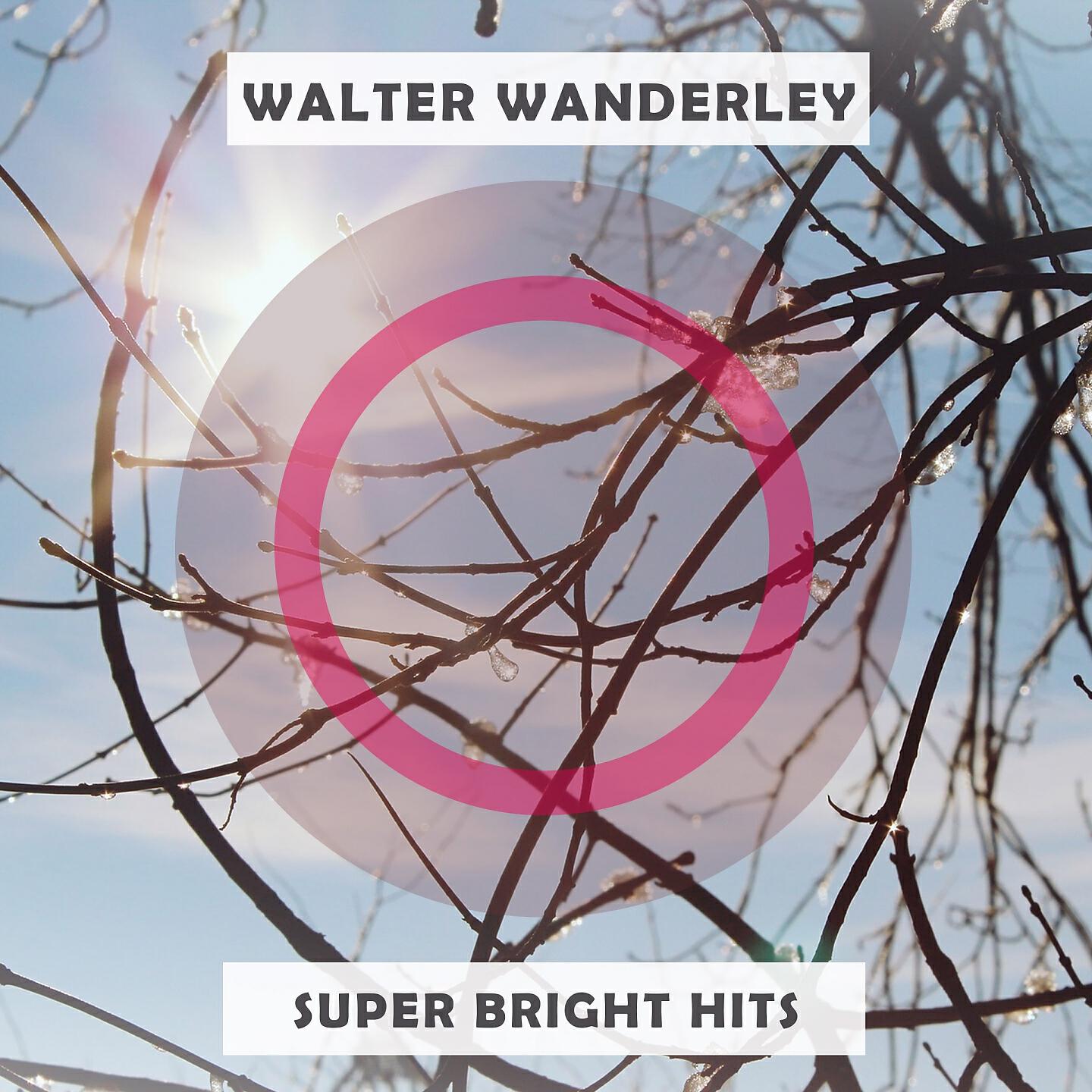 Walter Wanderley - Baby Rock