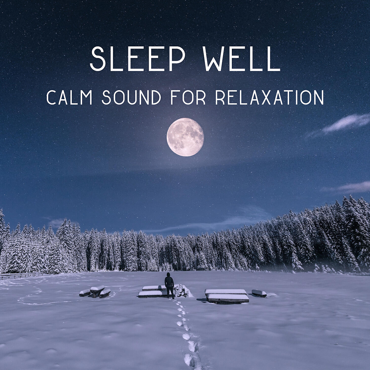 Deep Sleep Sanctuary - Sanctuary (Flute Melody)